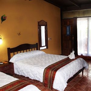 Habitación Estándar con 2 Camas Individuales